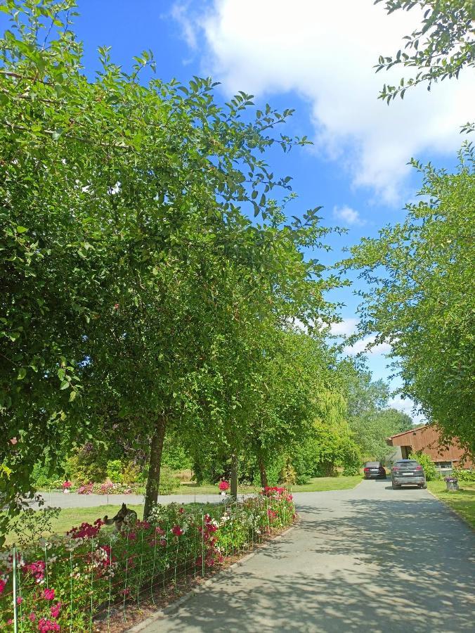 Les Chambres Du Vert Galant Rez De Jardin Verlinghem Exterior foto