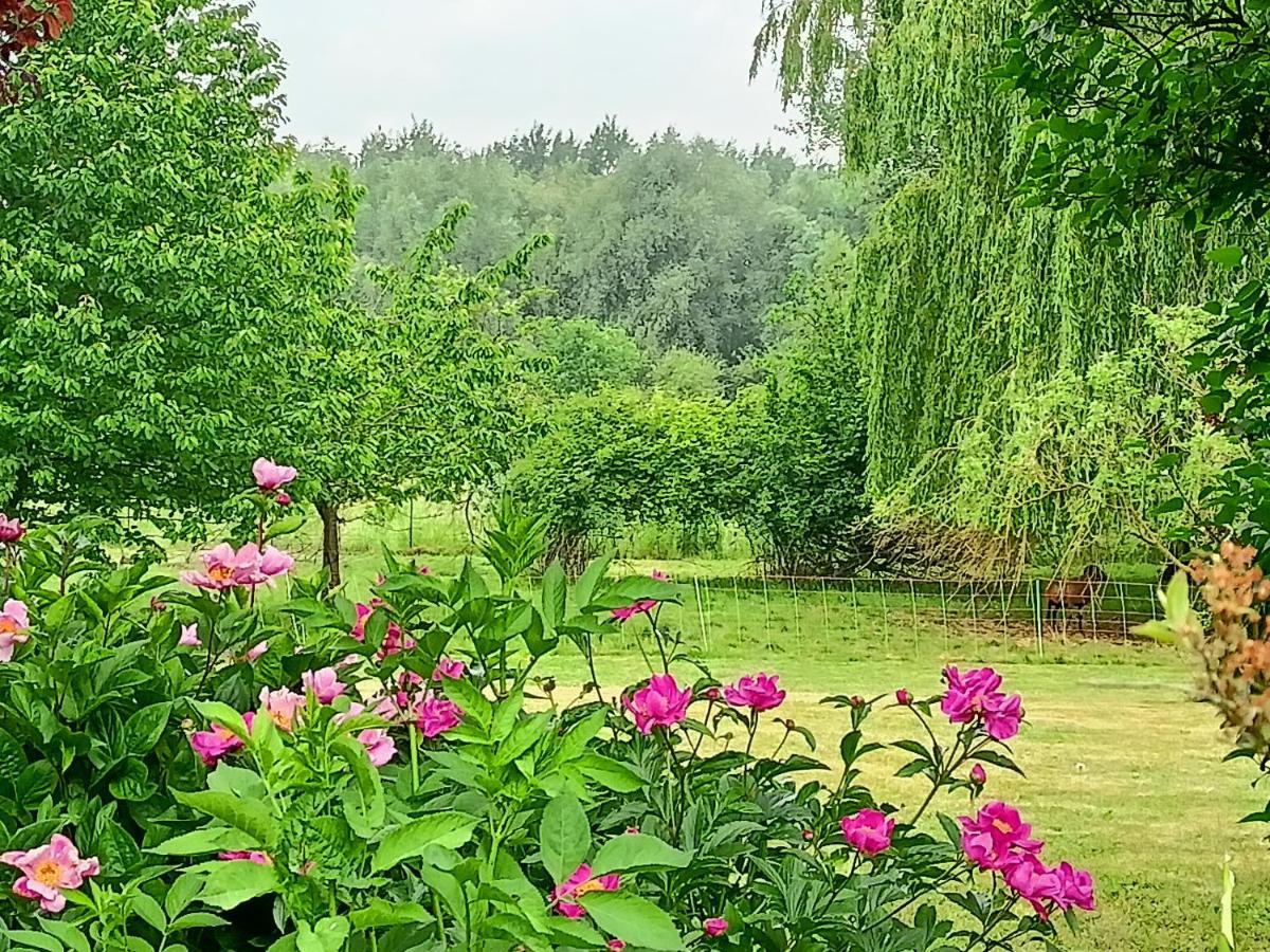 Les Chambres Du Vert Galant Rez De Jardin Verlinghem Exterior foto